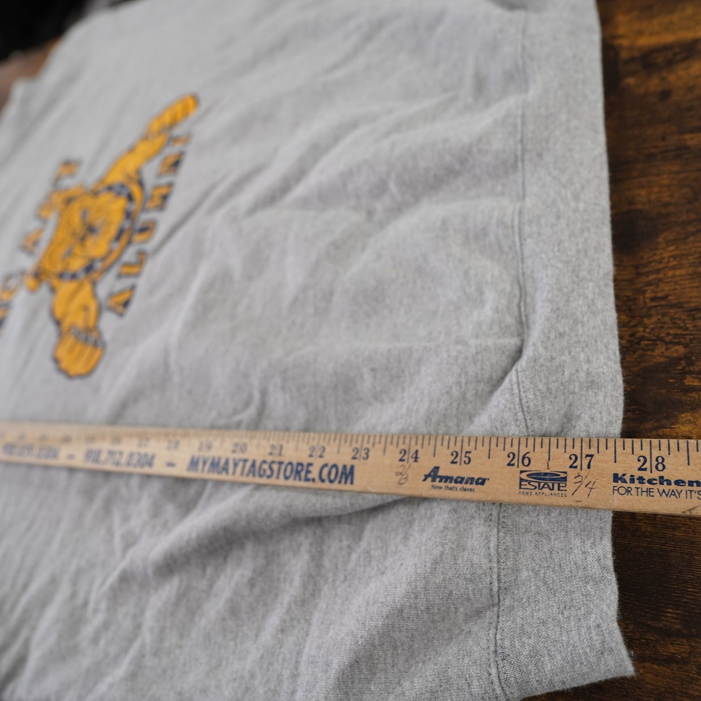 (XXL) Vintage Champion North Carolina A&T Aggies Crewneck Sweatshirt Men's XXL Gray