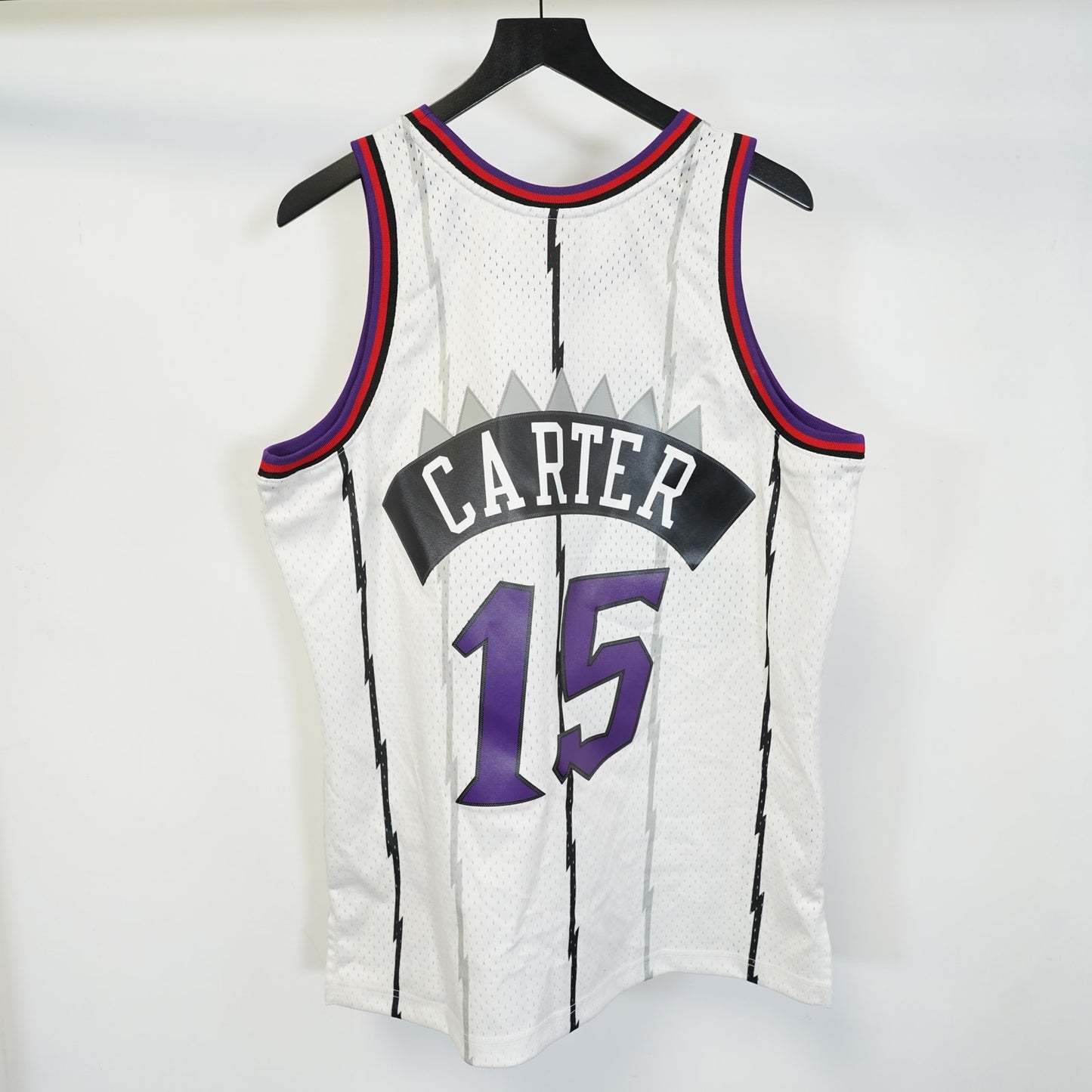 (L) Vince Carter Mitchell & Ness Toronto Raptors Pinstripe Basketball Jersey Men's L