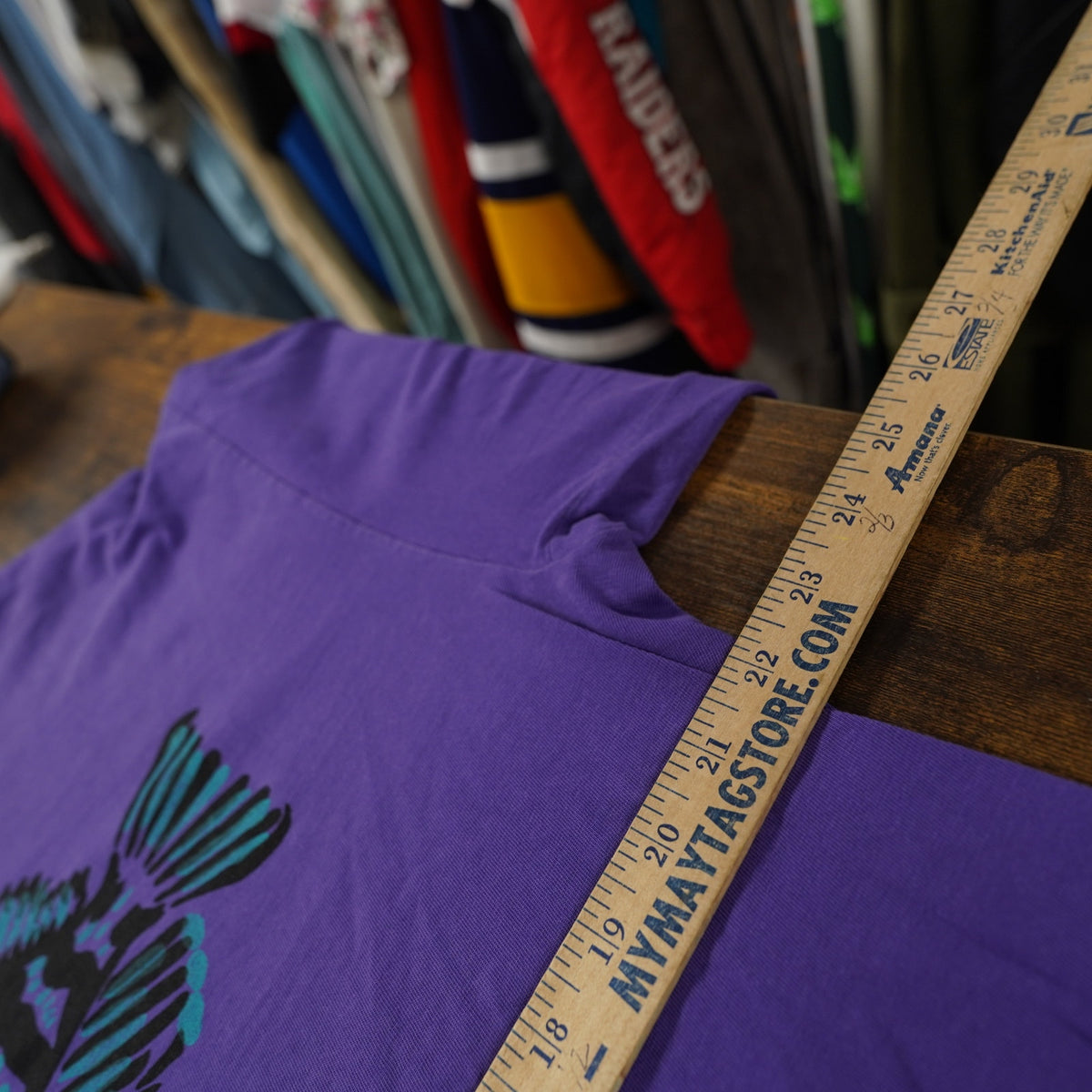 (XL) Vintage 90s Fish Nature Long Sleeve T-Shirt Men's XL Hanes Purple Alaska Tourist