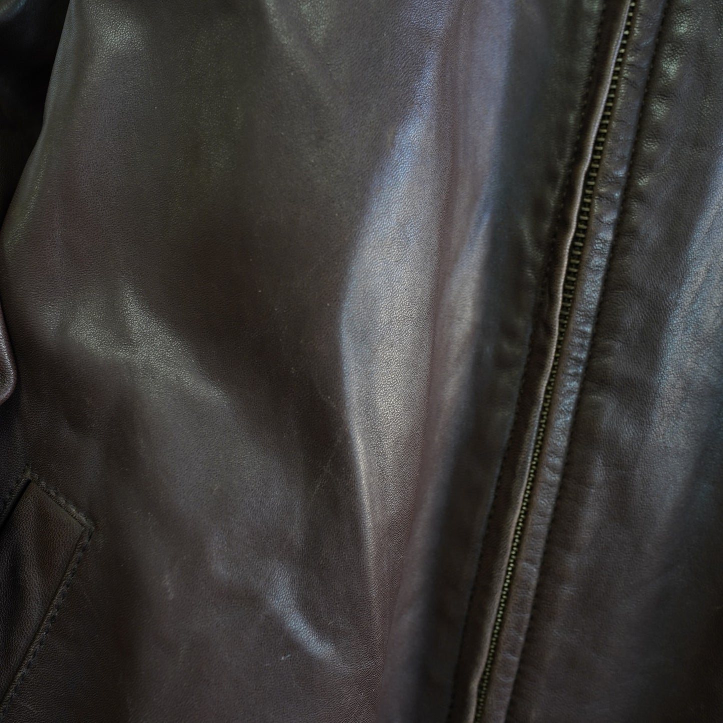 (L) Vintage Daniel Cremieux Lambskin Leather Zip Jacket Men's L Brown