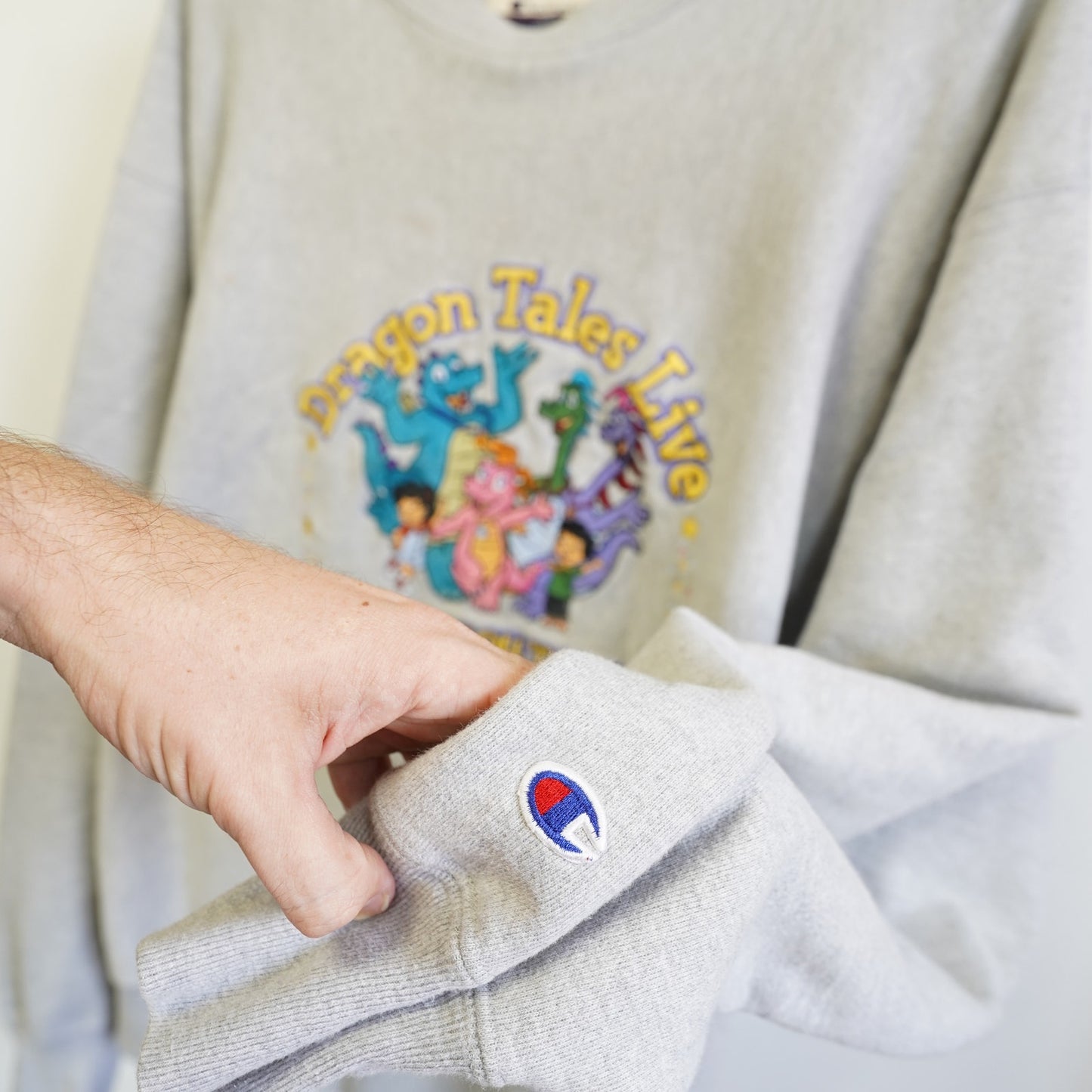 (XXL) Vintage Dragon Tales Champion Reverse Weave Sweatshirt Men's XXL Gray 90s