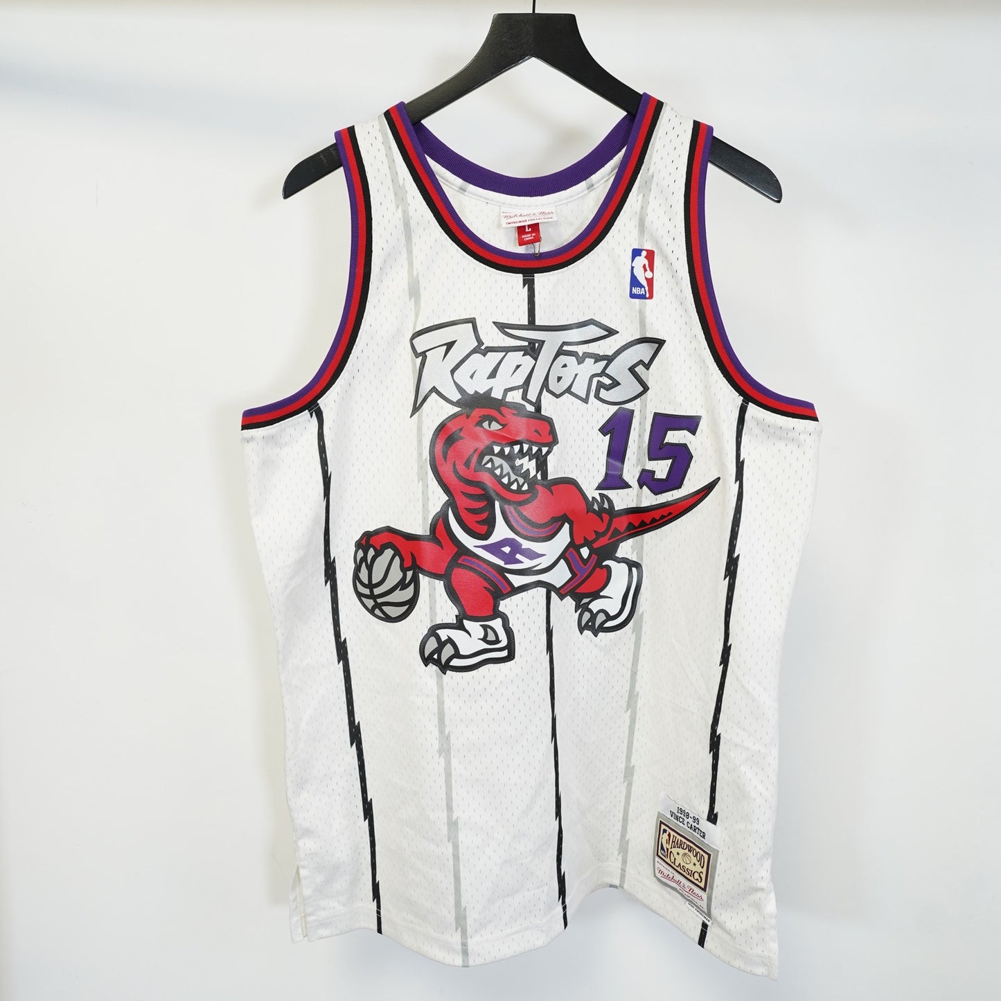(L) Vince Carter Mitchell & Ness Toronto Raptors Pinstripe Basketball Jersey Men's L
