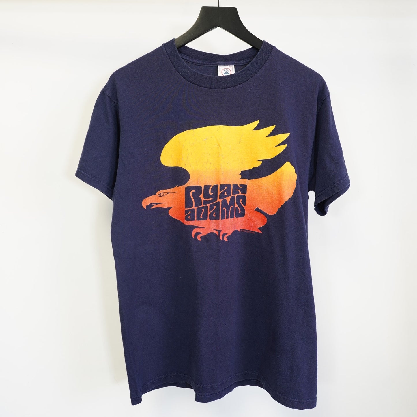 (M) Vintage Ryan Adams 2002 Band Tour T-shirt Men's M Y2K 2000s Eagle Blue