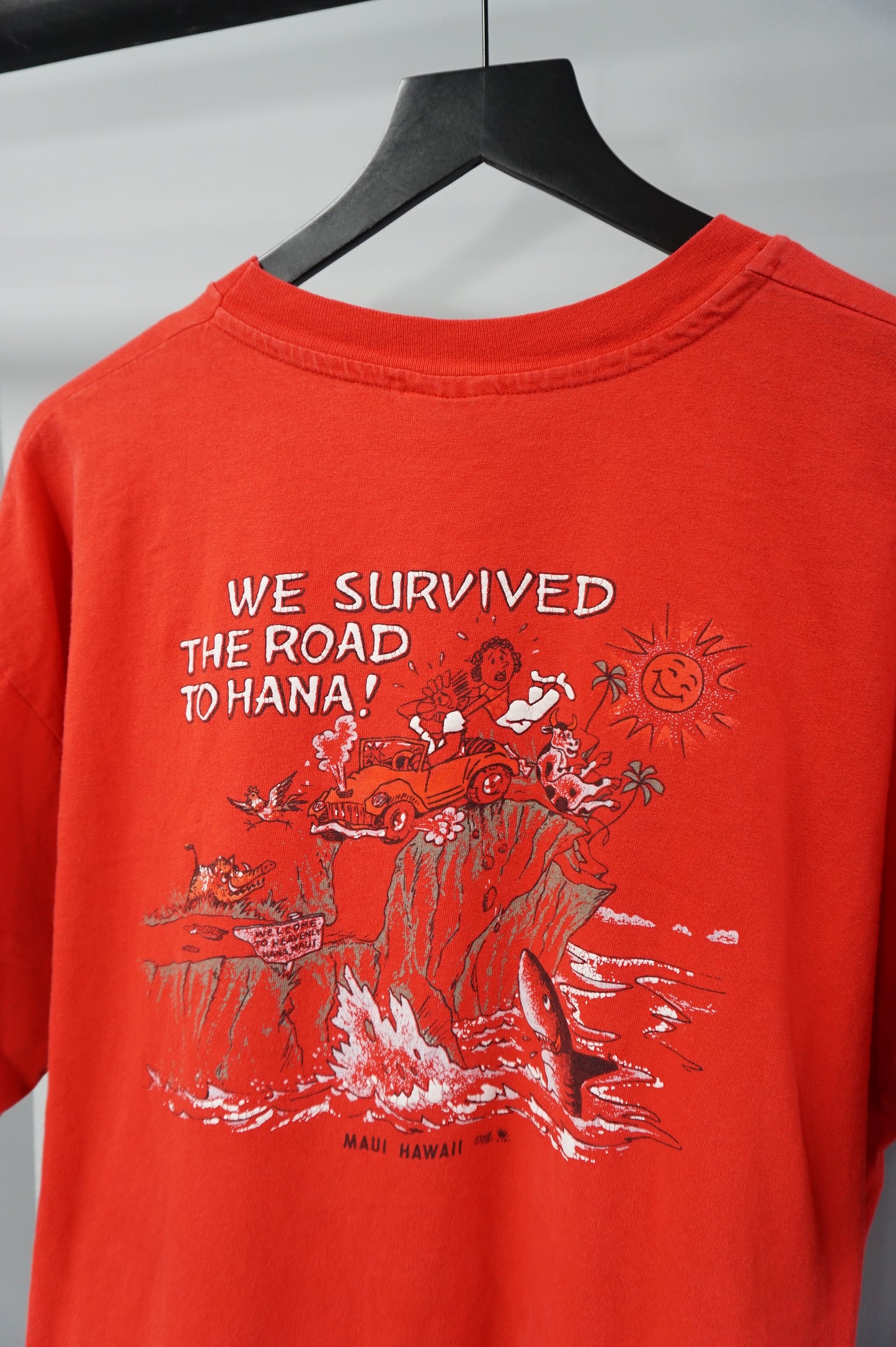 (XL) Vtg We Survived The Road To Hana Single Stitch Tourist T-Shirt