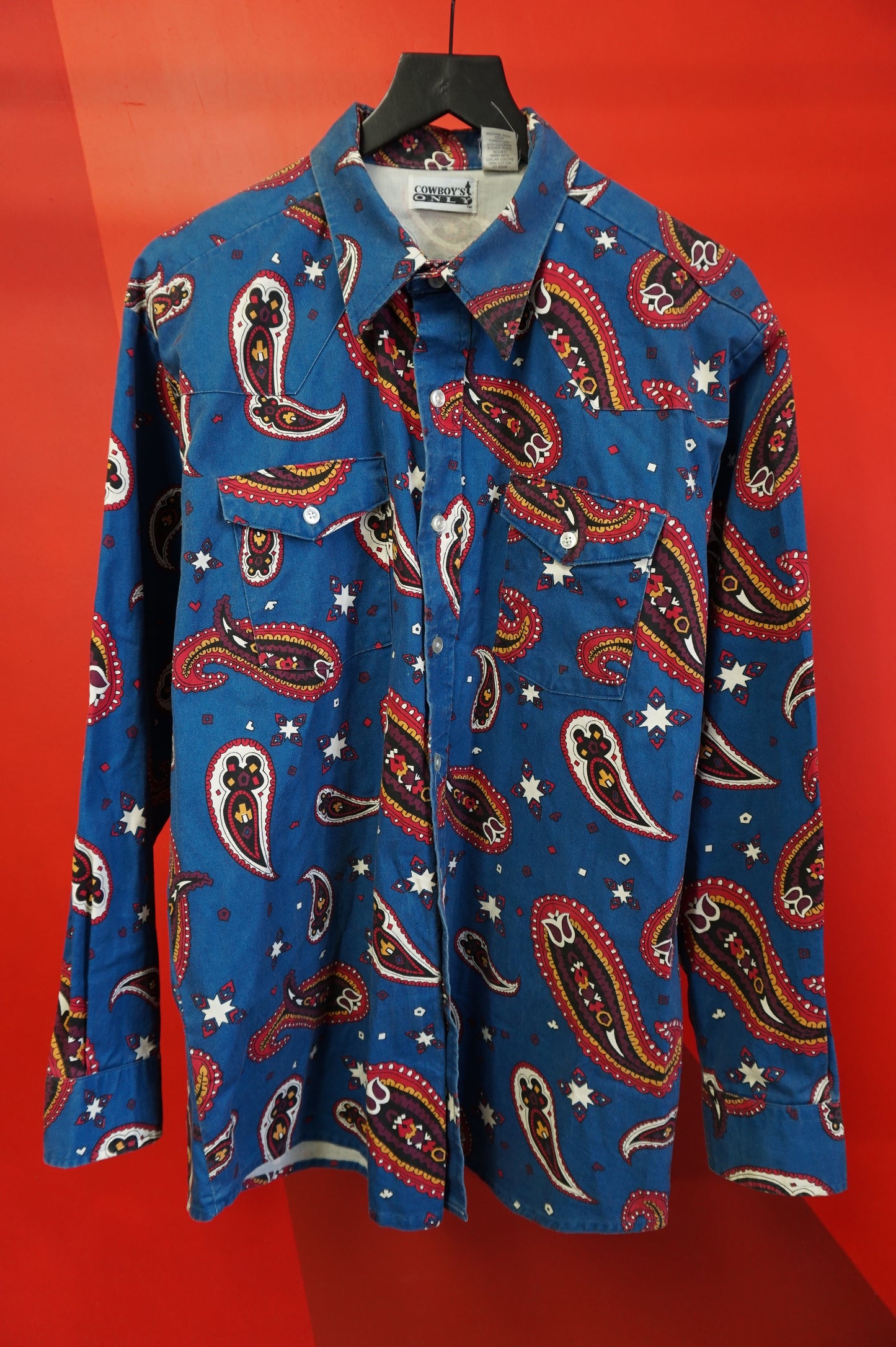 (XL) Crazy Paisley Western Button Up Shirt