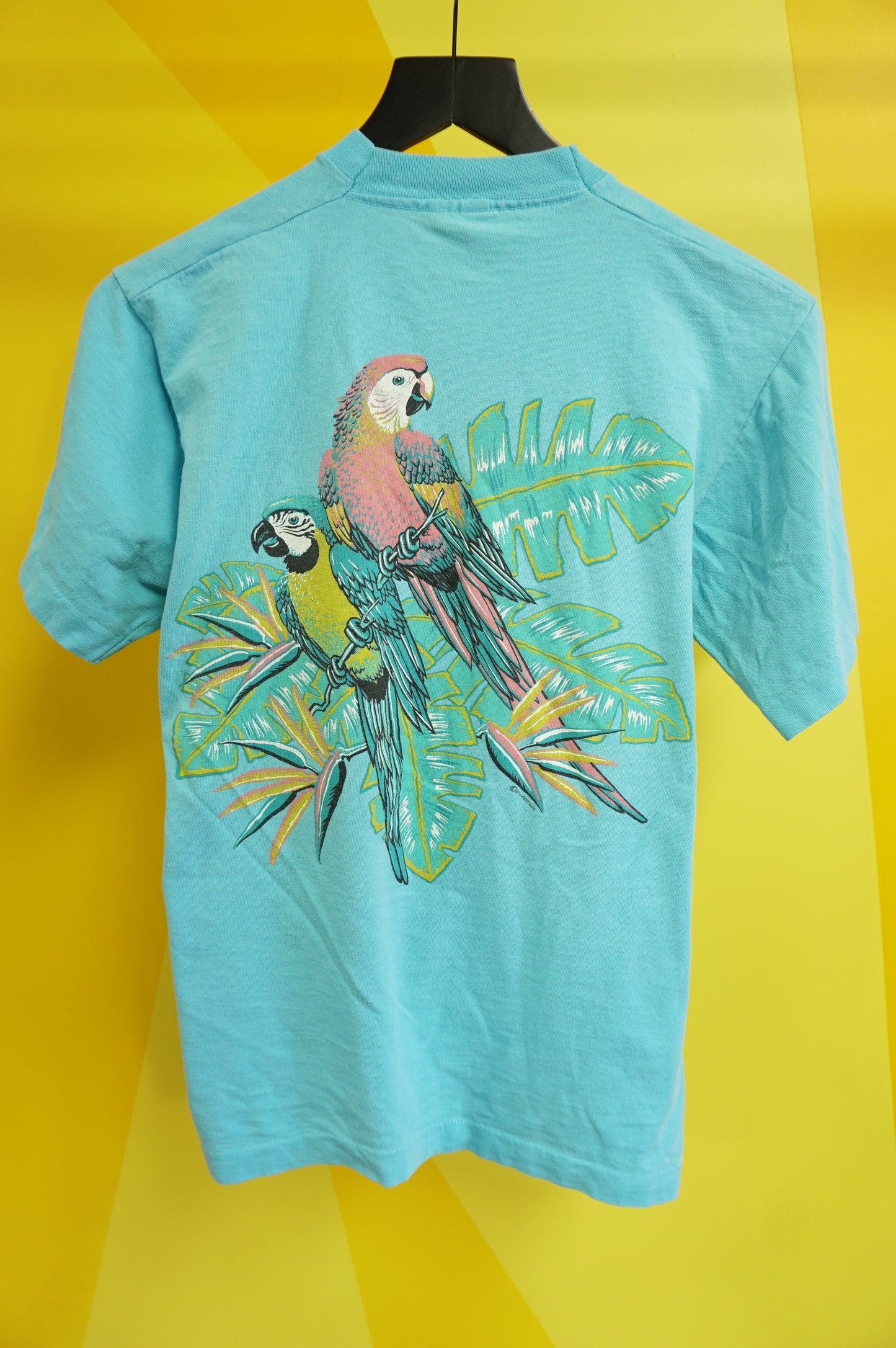 (S/M) Vtg St Louis Parrots Single Stitch T-Shirt