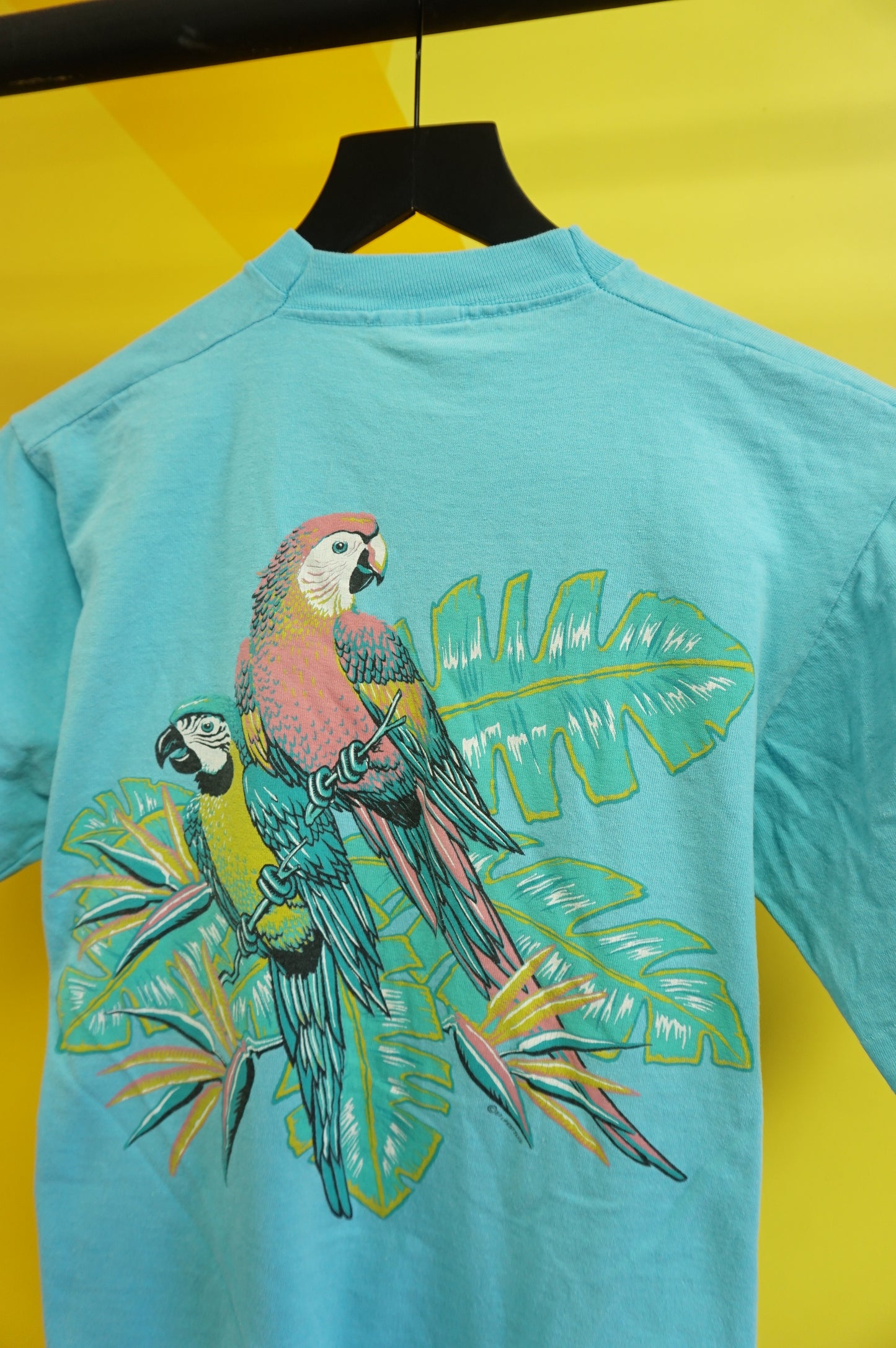 (S/M) Vtg St Louis Parrots Single Stitch T-Shirt