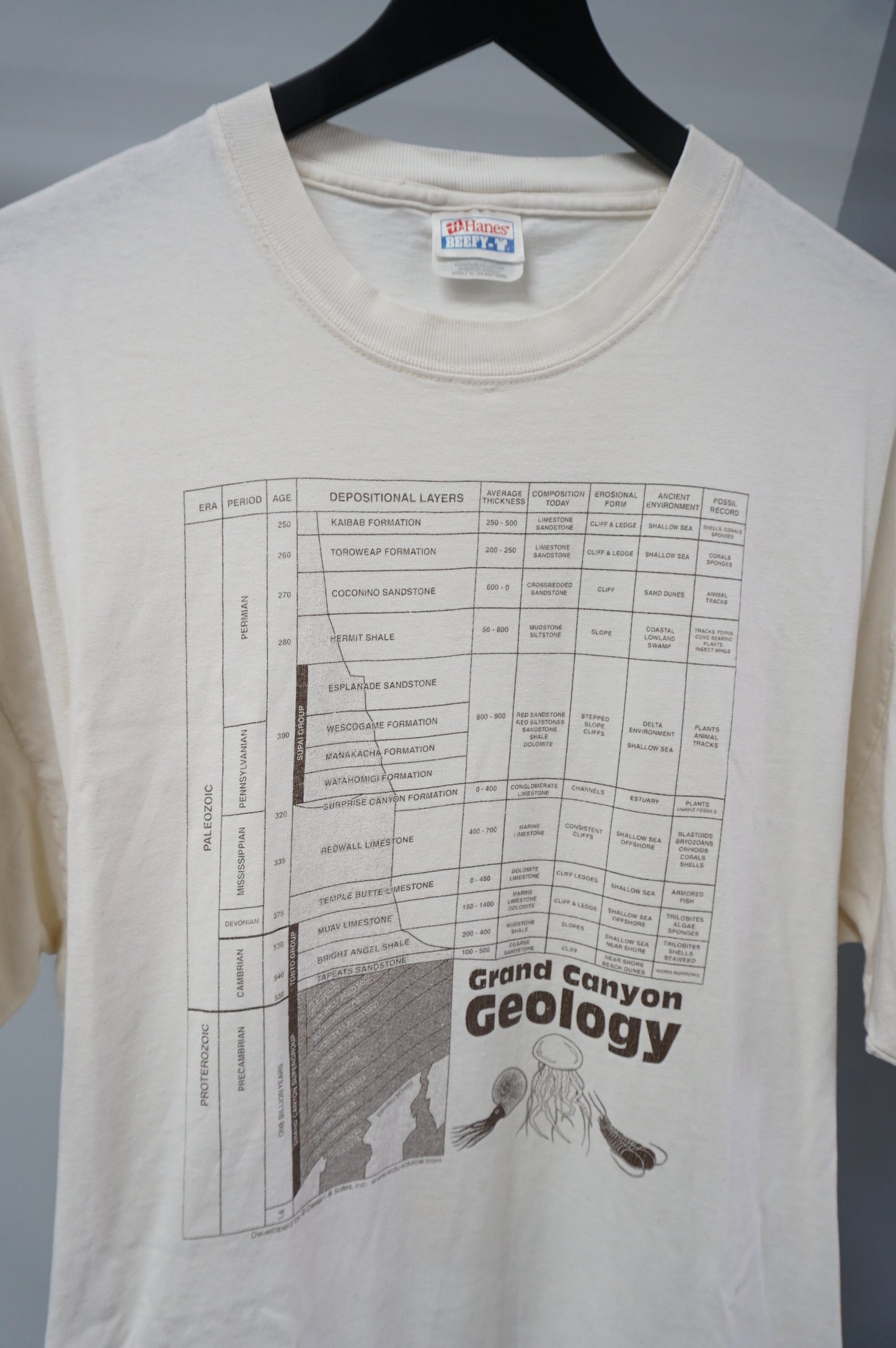 (XL) Grand Canyon Geology T-Shirt