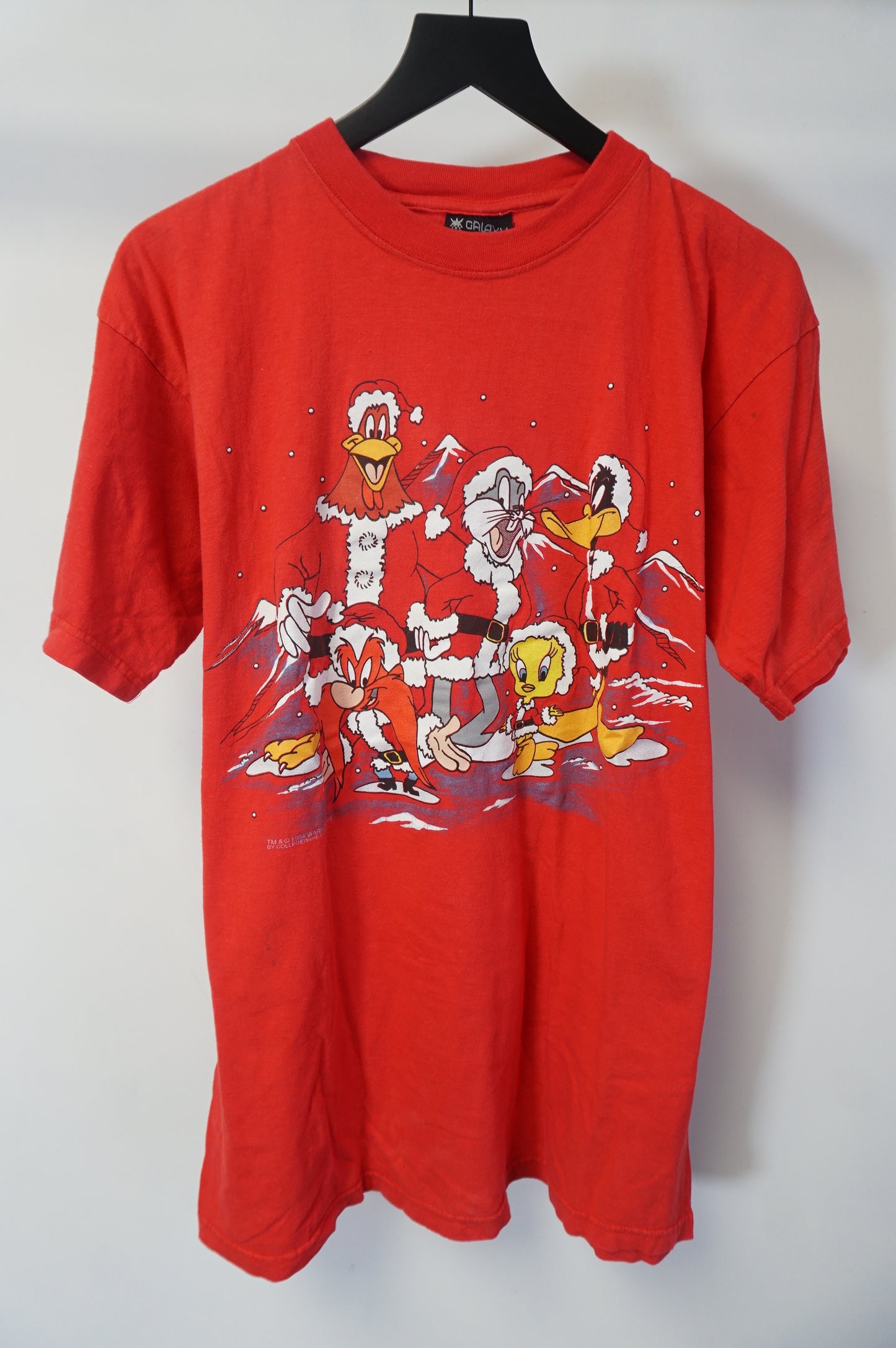 (L) Looney Tunes Gang Christmas T-Shirt