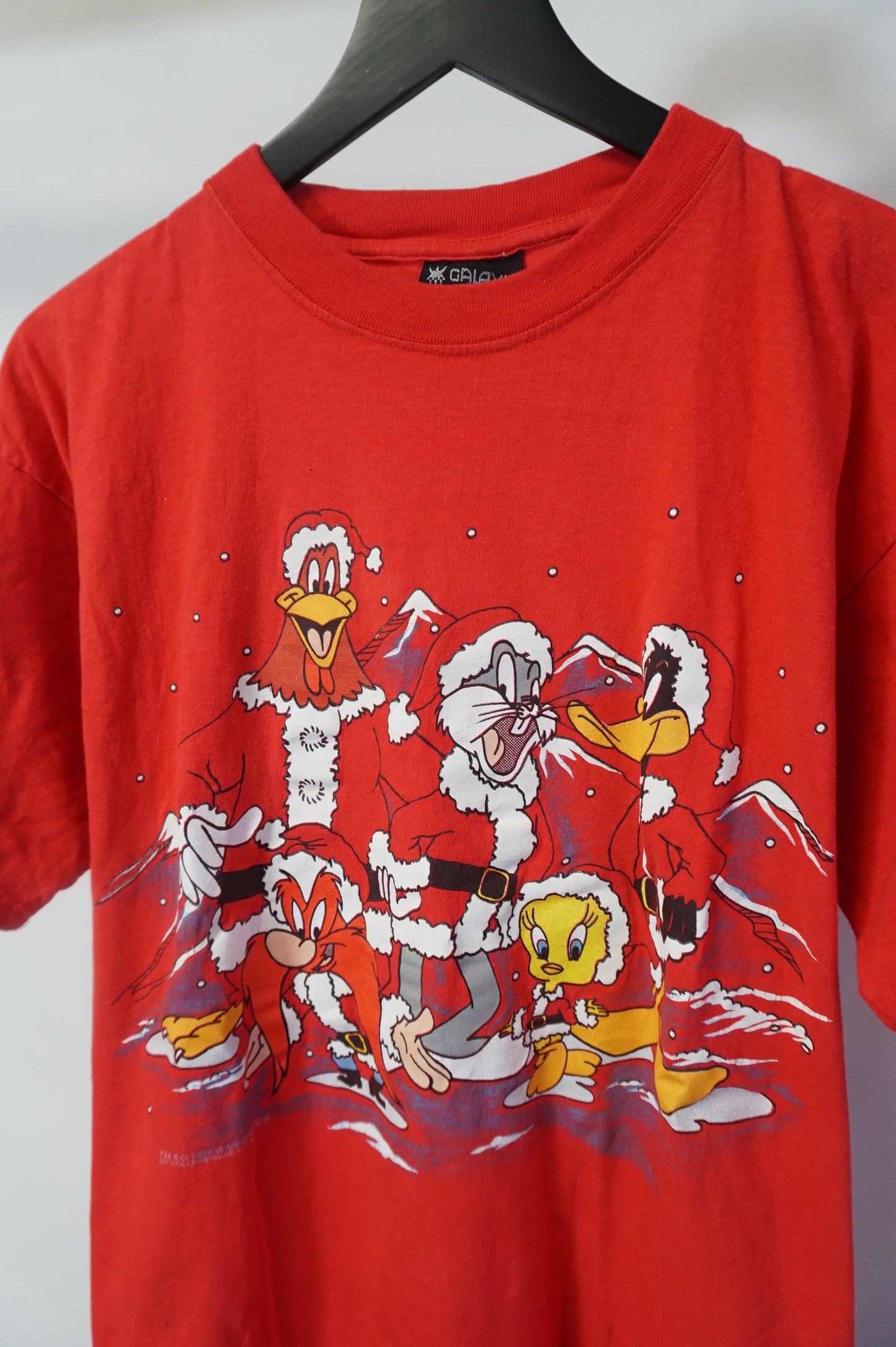 (L) Looney Tunes Gang Christmas T-Shirt