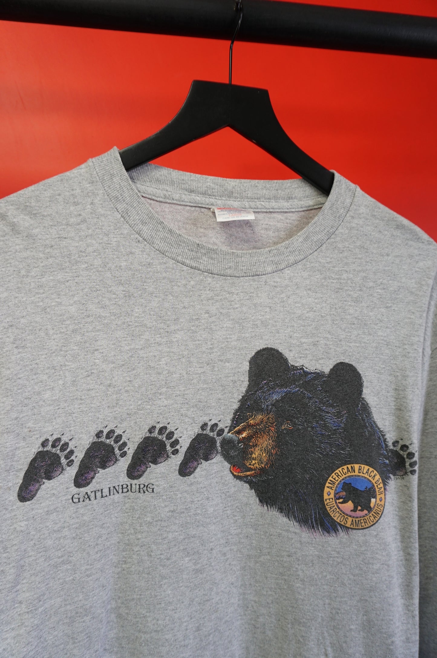 (L) Gatlinburg Black Bear LS T-Shirt