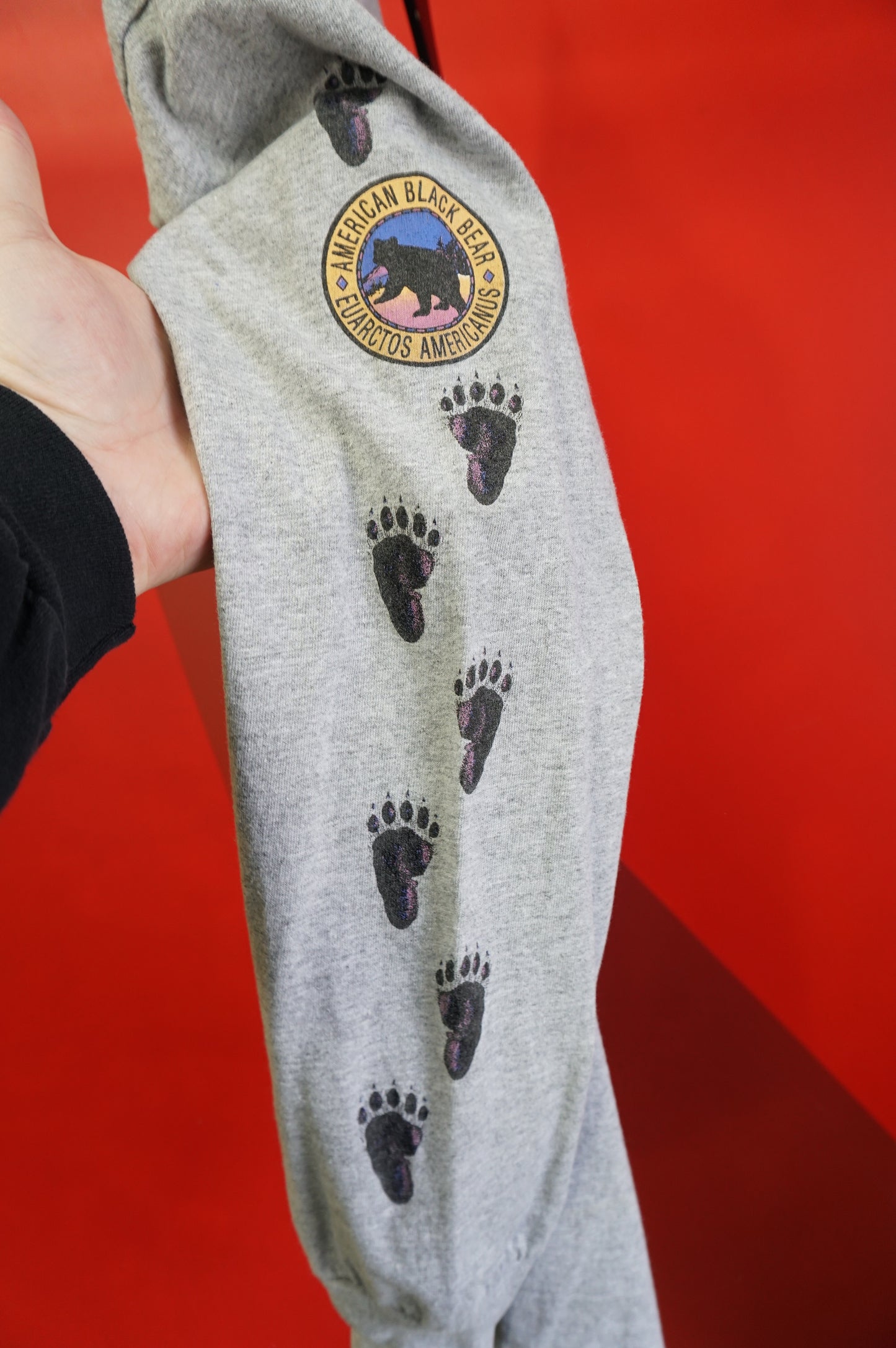 (L) Gatlinburg Black Bear LS T-Shirt