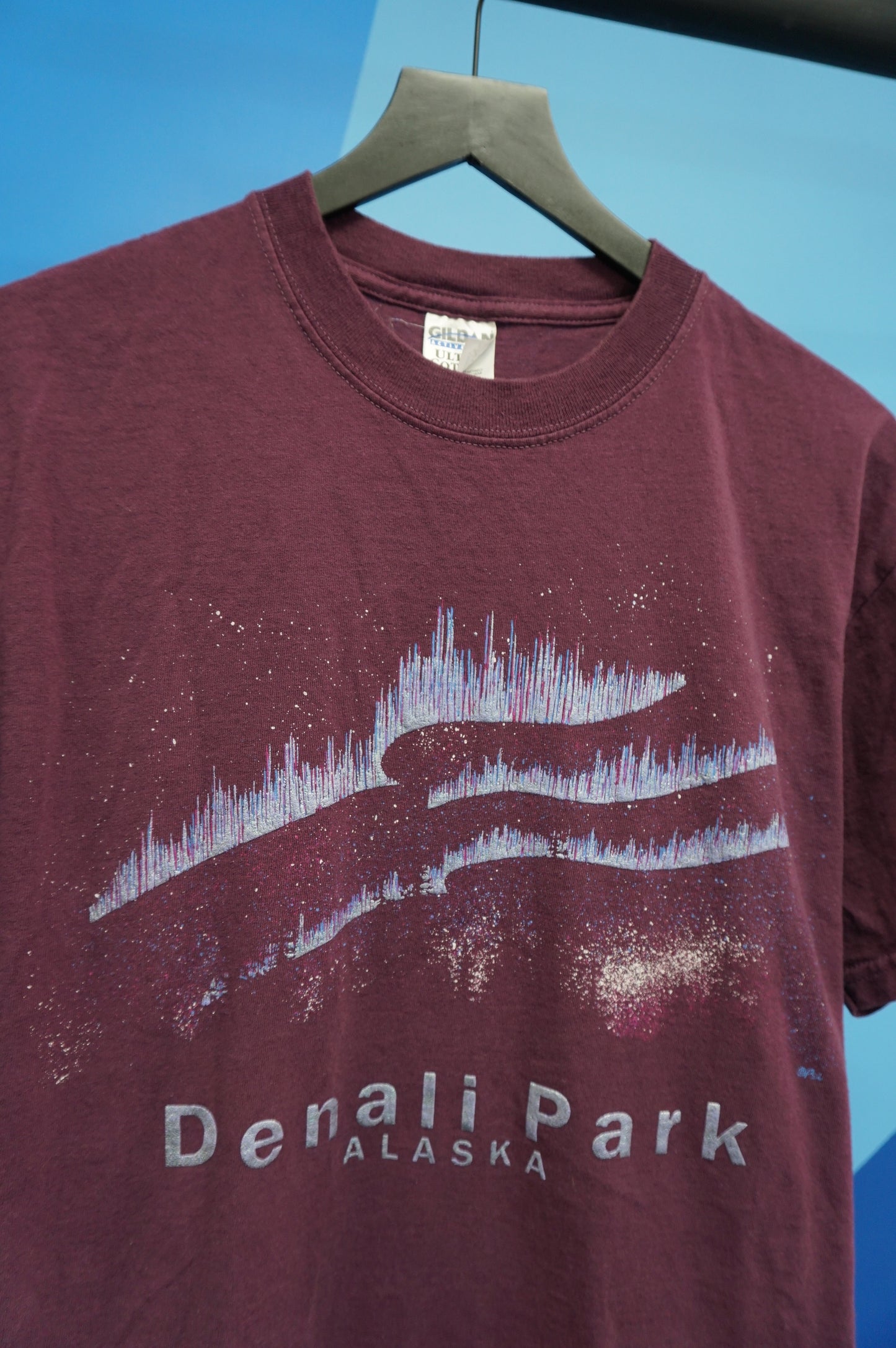 (M) Denali Park Tourist T-Shirt