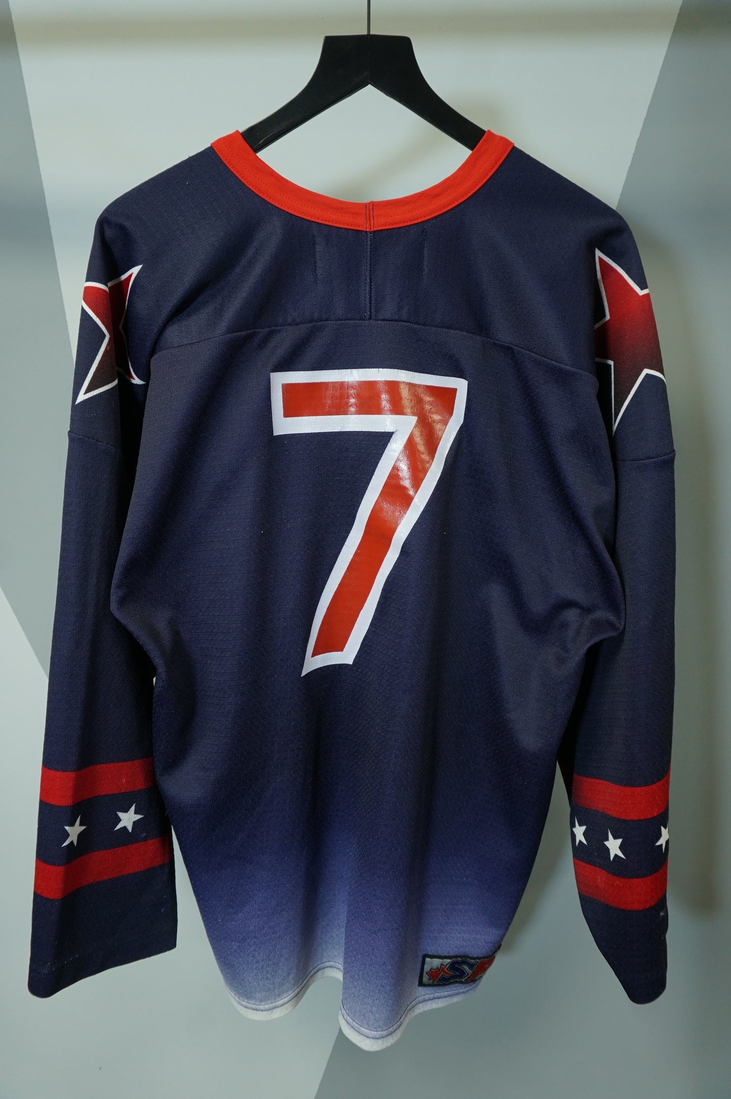 (L/XL) Vtg USA Hockey Jersey