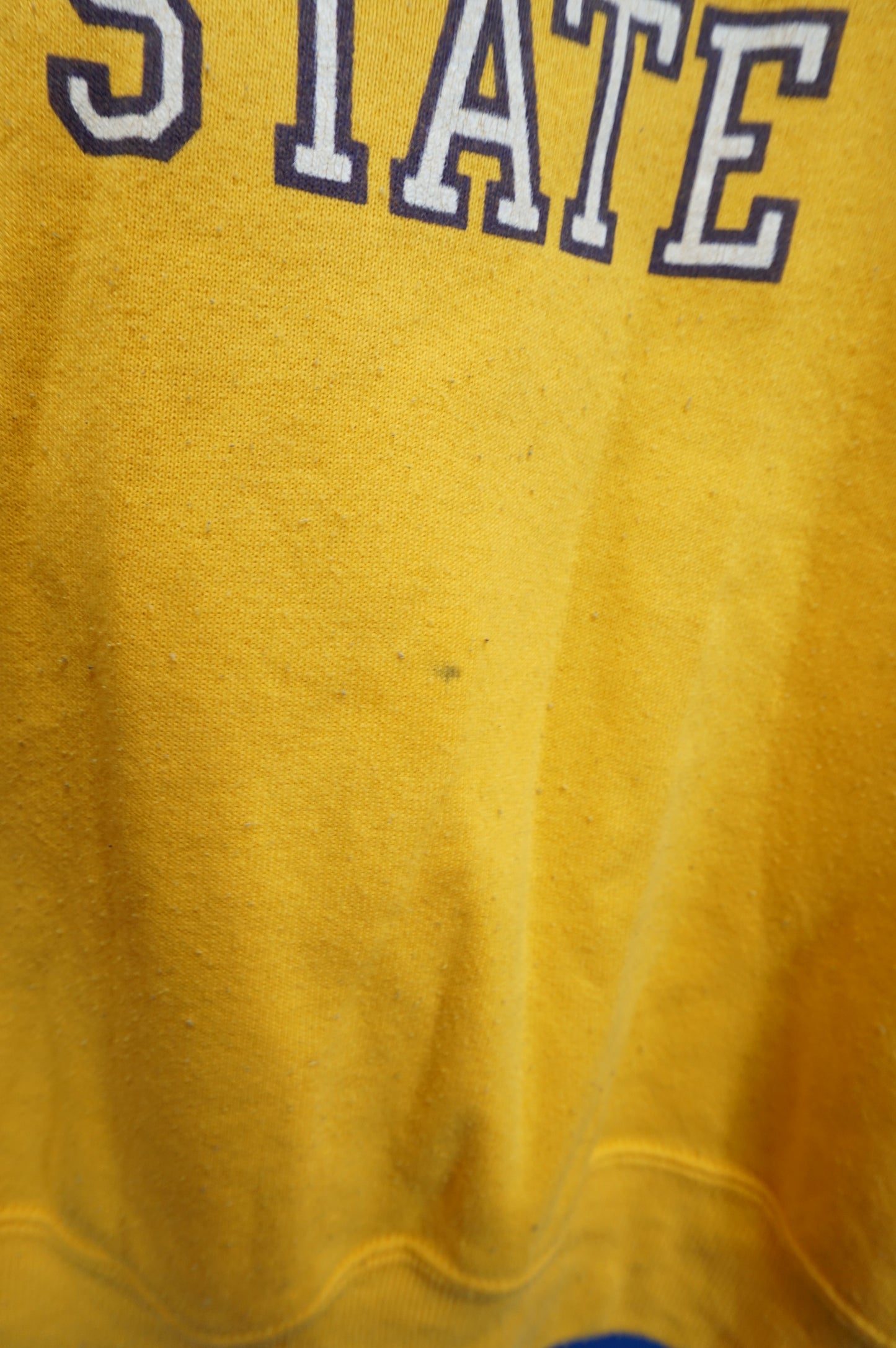 (L/XL) Vtg Louisiana State University Crewneck