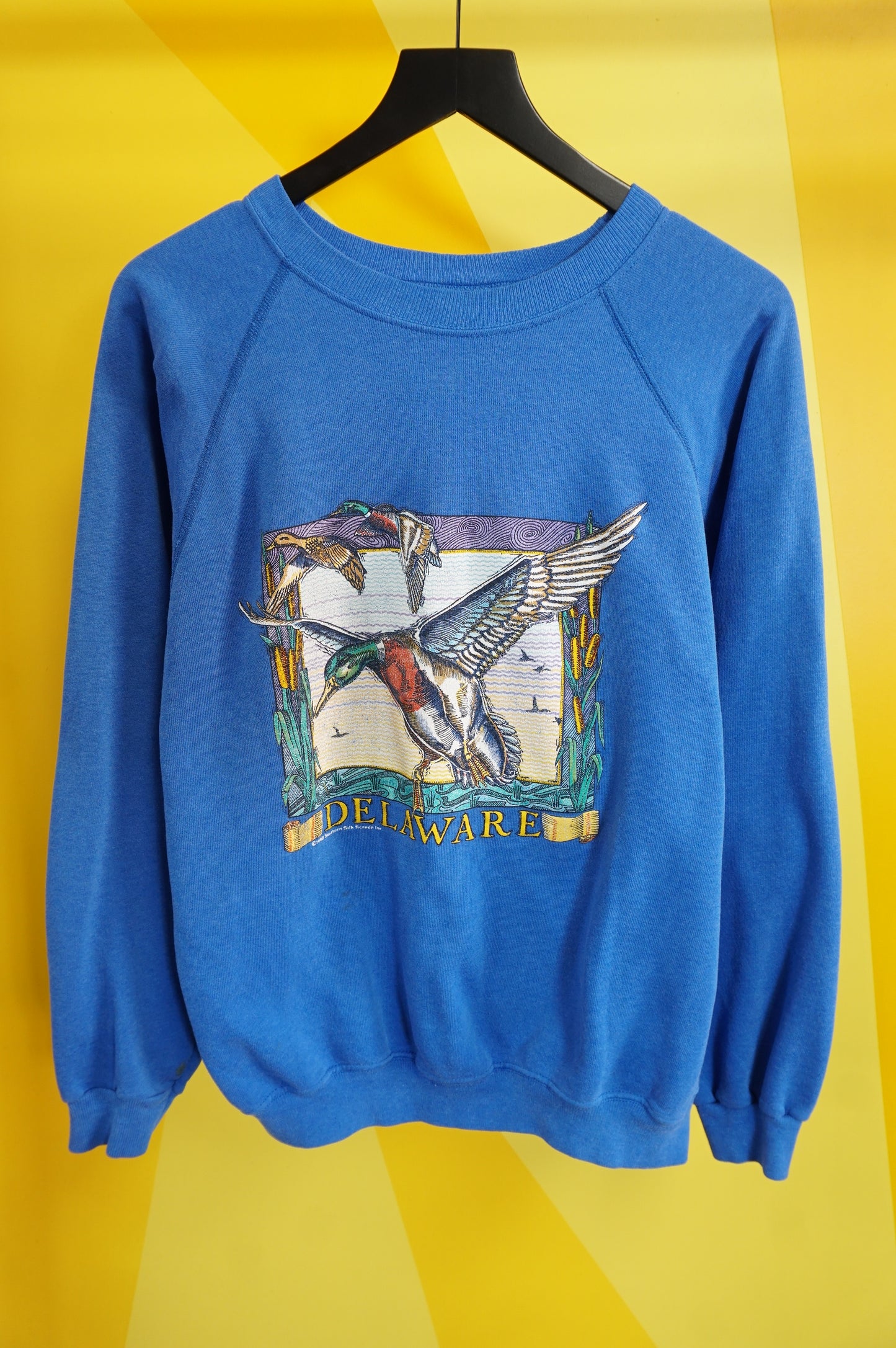 (L/XL) 1990 Delaware Duck Crewneck