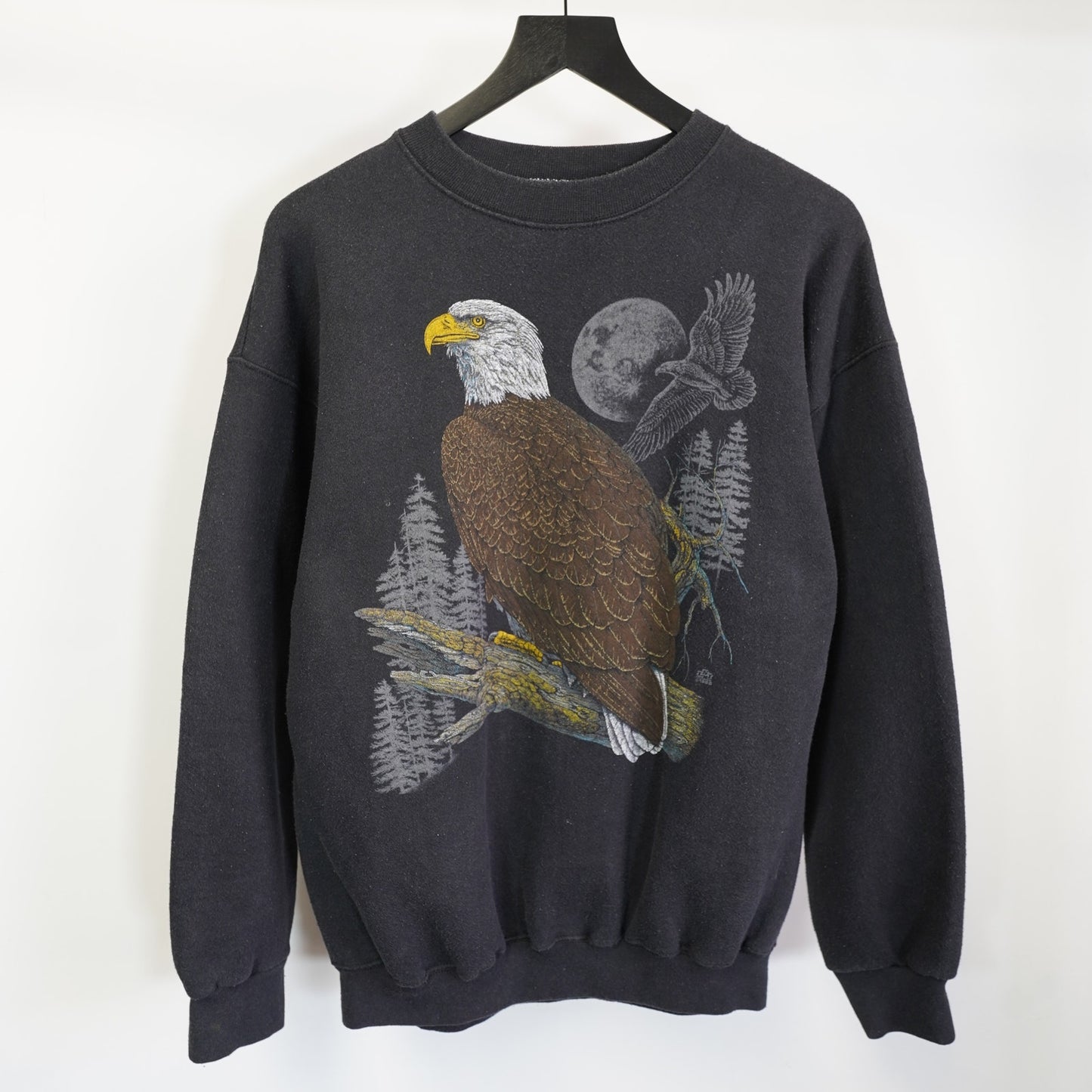 (L) Vintage 80s Eagle Nature Crewneck Sweatshirt Men's L Black Gorpcore Hiker Animal