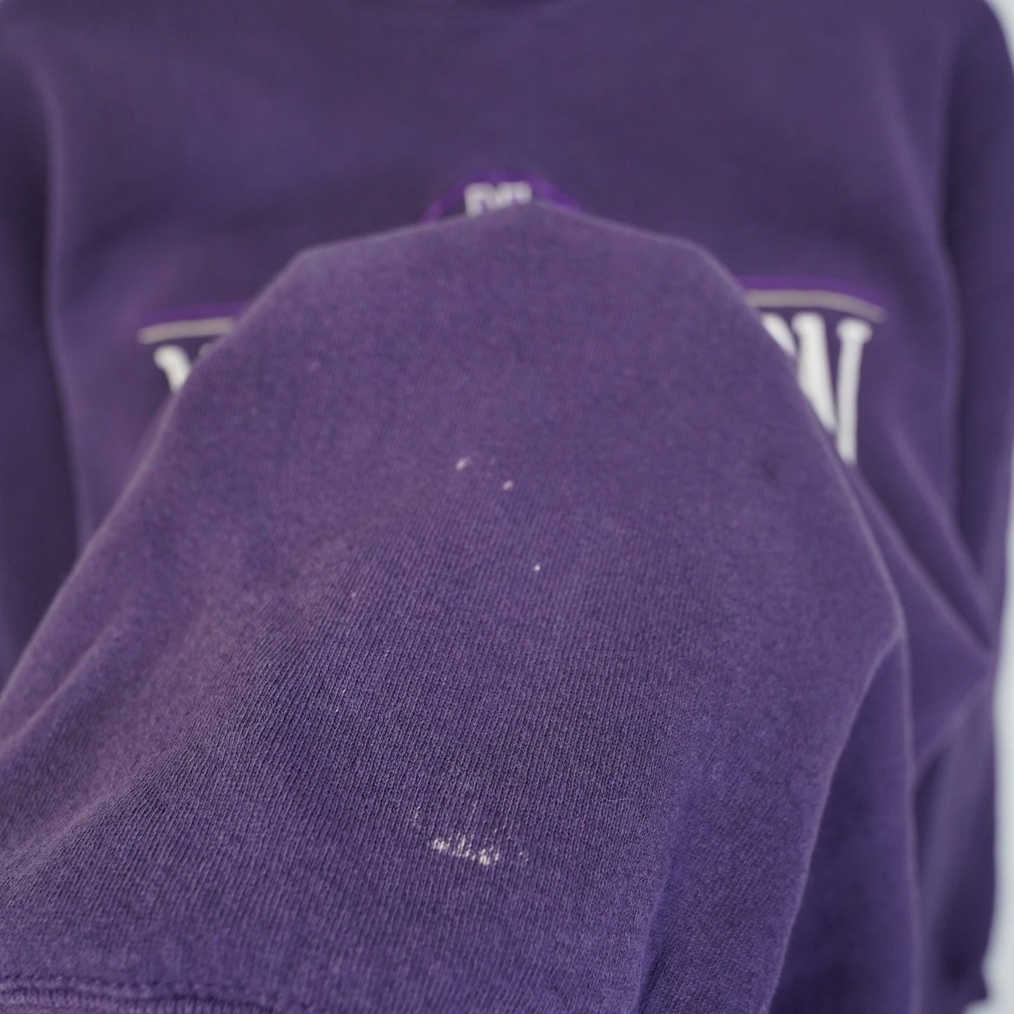 (L) Vintage Northwestern University Wildcats Sweatshirt Men's L Purple Galt Sand 90s