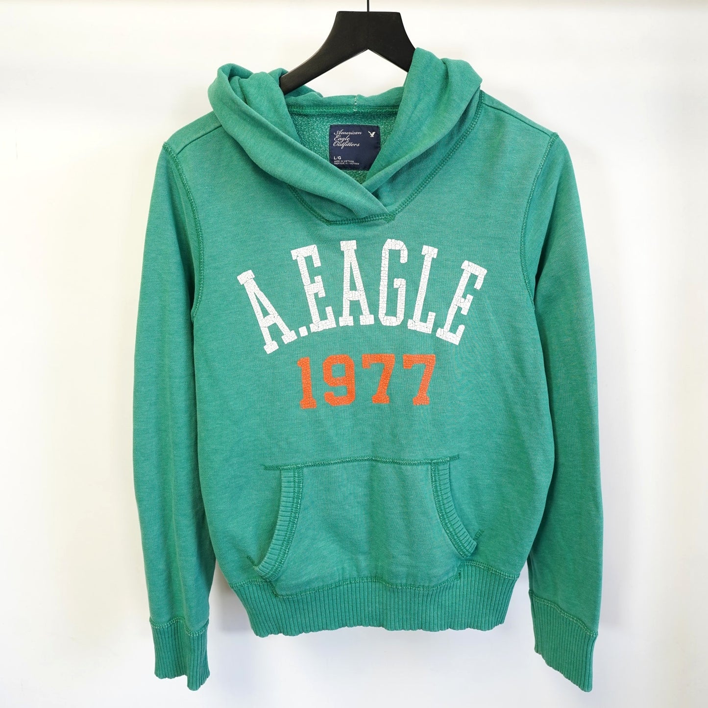 (L) American Eagle Y2K Retro Hoodie Men's L Green 2000s Mallcore Preppy
