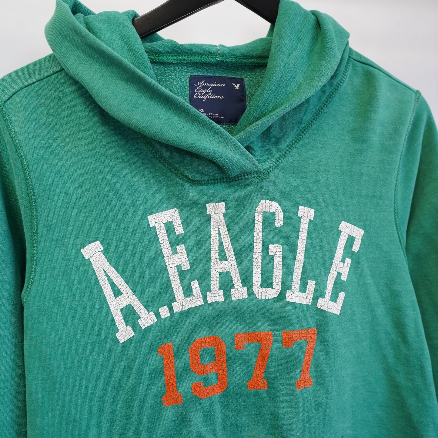 (L) American Eagle Y2K Retro Hoodie Men's L Green 2000s Mallcore Preppy