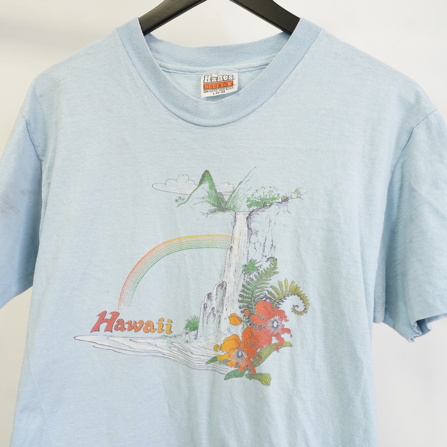 (M) True Vintage Hawaiian Nature T-Shirt 70s Single Stitch Men's M Blue Hanes