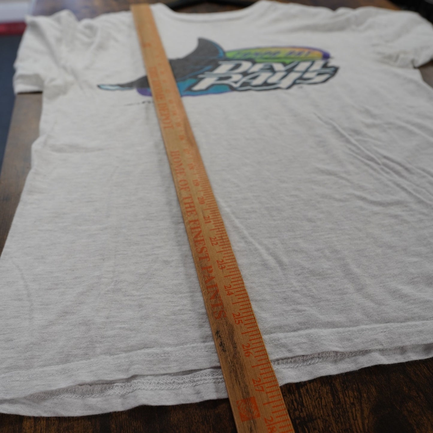 (L) Vintage Tampa Bay Devil Rays 90s Logo 7 Men's L Gray T-Shirt Retro MLB