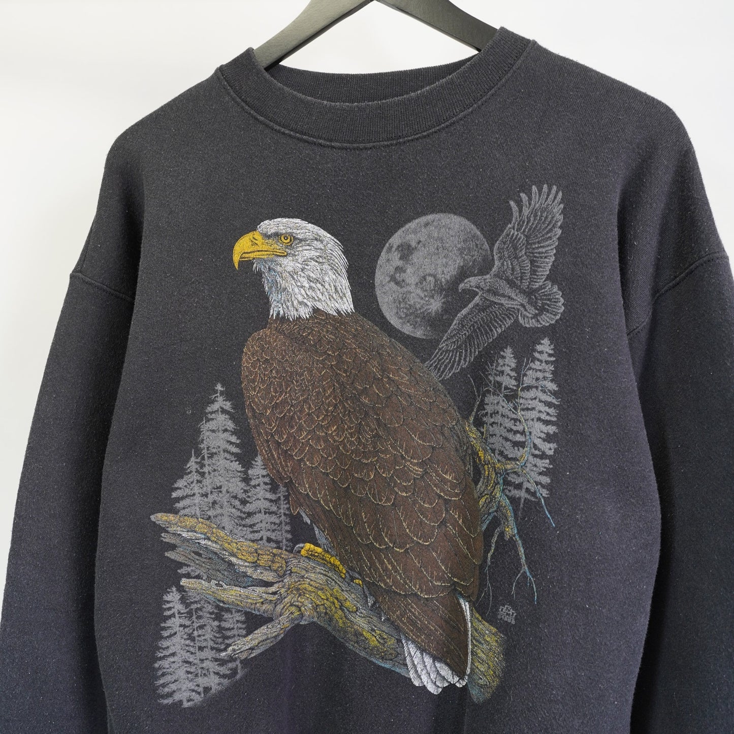 (L) Vintage 80s Eagle Nature Crewneck Sweatshirt Men's L Black Gorpcore Hiker Animal