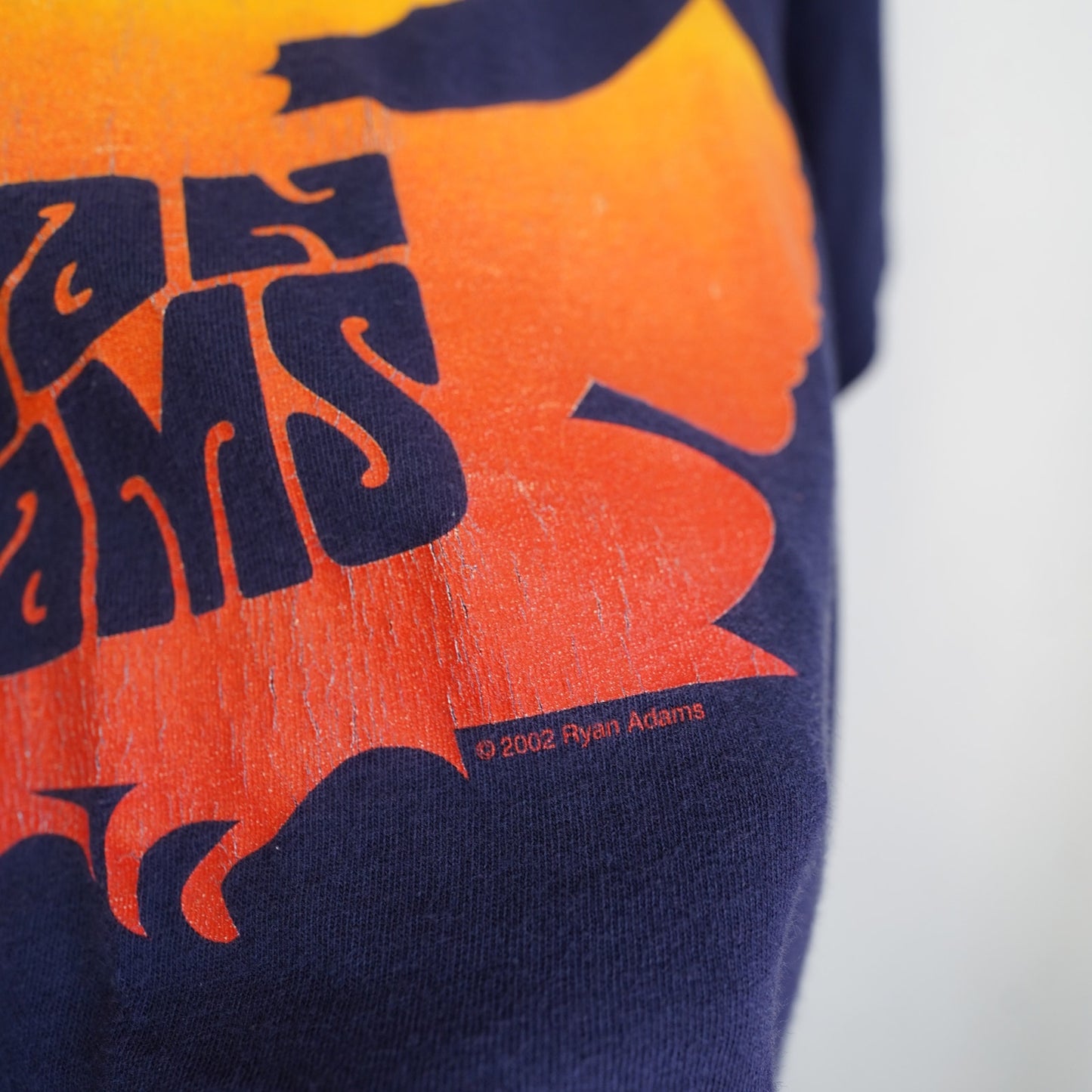 (M) Vintage Ryan Adams 2002 Band Tour T-shirt Men's M Y2K 2000s Eagle Blue